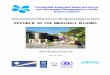 National Integrated Water Resource Management Diagnostic ... IWRM Final Docs... · National Integrated Water Resource Management Diagnostic Report REPUBLIC OF THE MARSHALL ISLANDS