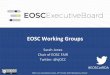 EOSC Working Groups · EOSC Working Groups Sarah Jones Chair of EOSC FAIR Twitter: @sjDCC ... How initial 5 WGs were formed Members ... join meetings/telecons, and commission consultancy
