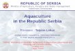 Aquaculture in the Republic Serbia · Cuprinus carpio) 5165 5428 6156 6071 5959 4435 5525 5598 5648 3761 Catfish (lat. Silurus glanis) 10 32 34 21 29 17 21 34 26 17 Silver carp (lat