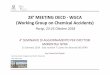 28°MEETING OECD -WGCA (Working Group on Chemical Accidents)€¦ · (Working Group on Chemical Accidents) Parigi, 23-25 Ottobre 2018 4°SEMINARIO DI AGGIORNAMENTO PER ISPETTORI AMBIENTALI