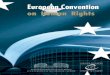 European Convention on Human Rights · The current state of signatures and ratifications of the Convention and its Protocols as well as the complete list of declarations and reservations