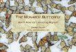 THE MONARCH BUTTERFLY - Las Ecomujeres...THE MONARCH BUTTERFLY North America's Amazing Migrant D EBRA VALOV La Mariposa Monarca\爀䔀氀 洀椀最爀愀渀琀攀 渀漀爀琀攀愀洀攀爀椀挀愀渀漀