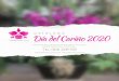 CATÁLOGO Día del Cariño 2020 - Orquideas · 2020-02-11 · Día del Cariño 2020. Orquídea Doble Phalaenopsis de 2 tallos con empaque Q175 Catálogo Día del Cariño 2020 Pedidos: