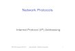 Network Protocols - DePaul University...• Internet growth and address depletion • Route table size (potentially lots of class C nets) • Misappropriation of addresses • Lack