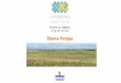 Relatório da Coleção 1 22 de abril de 2016 Bioma …de+dados...Bioma Pampa Relatório da Coleção 1 22 de abril de 2016 23 cartas 39 cartas região ID Nome MIR Carta R1 R2 R3 regiões