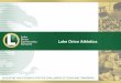Lake Orion Athletics...§Major Issues –Athletic Department (student safety concerns) §Athlete Role Issues: Coach –Athlete Coach –Parent Coach –parent –Athletic Director