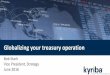 Globalizing your treasury operation...–FX Program to manage currency risk –Business continuity plans –Liquidity risk –different solutions than domestically Visibility –Balancing