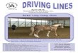BVDC Long-lining Clinic · Equine Chiropractic Care & Posture Prep Grooming (presented by licensed equine chiropractor Dr. Patricia Bona, an extraordinary equine and human chiropractor)