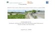 Strategy for Utilization of RAF funds SGP/Final CPS-… · a) Fisheries monitoring and management in the North Rupununi Wetlands in Region 9; b) Protection of Red Siskins in South
