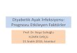 Diyabetik Ayak İnfeksiyonu Prognozu Etkileyen Faktörler · Taha AB. Relationship and susceptibility profile of Staphylococcus aureus infection diabetic foot ulcers with Staphylococcus