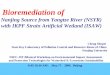 Bioremediation of...Bioremediation of Nanjing Source from Yangtze River (NSYR) with IKPF Strain Artificial Wetland (ISAW) Cheng Shupei State Key Laboratory of Pollution Control and