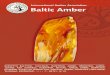 International Amber Association Baltic Amber As no other kind of amber in the world, Baltic amber is