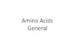 Amino Acids Generalchemhaven.org/che102/EP/Ch29_4x6_Print.pdf · • Complete (animal) vs. Incomplete (vegetable) protein. Amino Acids Structure. Amino Acid Structure: • Amide,