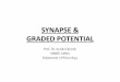 SYNAPSE & GRADED POTENTIAL...Types of Synapses: 1. Chemical Synapse (transmission thru chemicals i.e. NT) 2. Electrical Synapse • Impulse conducted without release of NT • Synaptic