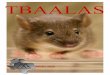 TBAALAS · can bring the item to the conference with you. 58th Annual TBAALAS Meeting February 18 - 21 2020, San Marcos, TX The goal of the silent auction is to give back to those