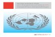 Second Guidance Paper: Joint UN programmes and teams on AIDS · 2.2 The joint UN programme of support on AIDS 8 3. Leadership and accountability 14 3.1 Leadership 14 3.2 Accountability