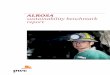 ALROSA sustainability benchmark report · 2017-09-07 · the industry’s final product—diamond jewellery—has a significant reputational and emotional component. This benchmarking