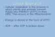 Cellular Respiration - Cabarrus County Schools€¦ · cellular respiration Make up the membranes of the mitochondria Enzymes control the rate of Respiration ATP is produced during