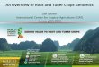 Joe Tohme International Center for Tropical Agriculture ... · An Overview of Root and Tuber Crops Genomics . Joe Tohme . International Center for Tropical Agriculture (CIAT) January