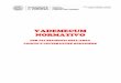 VADEMECUM NORMATIVO · 2020-02-20 · Laurea magistrale in Lingue e letterature comparate europee ed extraeuropee (LM37) ad esaurimento Laurea magistrale in Comparative European and
