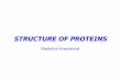 structure proteins 2013 - Univerzita Karlovavyuka-data.lf3.cuni.cz/CVSE1M0001/structure_proteins...Chemical nature of proteins • biopolymers of amino acids • macromolecules (M