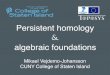 Persistent homology algebraic foundationscv.mikael.johanssons.org/talks/2017-01-JMM.pdf · The Theory of Multidimensional Persistence Also: Carlsson, Singh and Zomorodian (2009) and