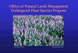 Office of Natural Lands Management Endangered Plant Species … · 2011-03-15 · Endangered Plant Species Program. Lupine (Lupinus perennis) Photograph by David Snyder. Statutory