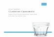 Customer Operations · 4.1 Customer Experience & Strategy Activities The Customer Experience and Strategy Team is responsible for the brand and marketing activities of IW, customer