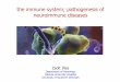 the immune system; pathogenesis of neuroimmune diseases · hypersensitivity (autoimmunity) components of the immune system innate adaptive („acquired”) antigen specificity propagation,