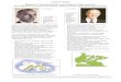 Wegener’s ‘Continental drift’ meets Wilson’s ‘Plate ... · How Wegener’s continental drift evidence matches up with evidence for plate tectonics contains Geological ago