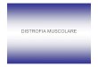 DISTROFIA MUSCOLARE · 2011-04-03 · recessiva, associata (DMD 3-5 anni; ... • Patologia eterogenea • Distruzione dei dischi Z • Distrofia prossimale con disartria • Miopatia