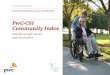 PwC-CSI Community Index · Advocacy Religious Social Services Health International Environment Culture & Recreation Philanthropy & Volunteerism Education & Research Overall -3 3 1