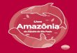 Livro Amazônia - aquariodesp.com.br · brasileira da Amazônia. Os mamíferos aquáticos da Amazônia sofrem muito com a ação do homem. São caçados e utilizados na alimenta -
