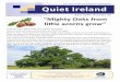 The Irish Tinnitus Association Newsletter Quiet Ireland · wrote to the British Tinnitus Association and they printed her article in their ‘Quiet’ Magazine ap-pealing for Irish