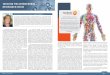 TACKLING THE ANTIMICROBIAL RESISTANCE CRISIS · 2019-10-11 · TACKLING THE ANTIMICROBIAL RESISTANCE CRISIS An innovative strategy in the war against AMR, complementary to judicious
