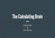 The Calculating Brainpeople.stu.ca/~raywilliams/Ed Psych II 2015/The Calculating Brain.pdf · Acalculia Impairment in mathematical abilities due to brain damage Intraparietal sulcus