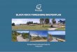 BLACK ROCK FORESHORE MASTERPLAN · Black Rock House was built in 1856 by Charles Ebden, former Governor of Victoria. The house was originally built as a holiday house and was also