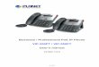 Business / Professional PoE IP Phone VIP-350PT / VIP-550PT ...€¦ · It's the delivery platform for IP voice services that makes benefits from the VoIP technology in business class