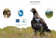 Земя за царския oрел · орел - мярка 10 ” Агроекология и климат“, дейност ” Превръщане на обработваемите