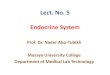 Lect. No. 5 Endocrine Systemmpu.edu.iq/images/humlecture5.pdf · Principles of the Endocrine System 1. Controls the processes involved in physiological equilibrium. 2. Includes tissues