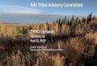 NIH Tribal Advisory Committee · NIH Tribal Advisory Committee THRO Updates Fairbanks AK Aug 22, 2019 David R. Wilson, Ph.D. Director of the Tribal Health Research Office