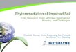 Phytoremediation of Impacted Soil - Earthmaster · 2018-07-06 · (traditional phytoremediation site): •8,000 m³ of excavated PHC impacted soil. •Earthmaster constructed a soil
