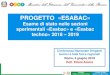 PROGETTO «ESABAC» · 2019-06-28 · PROGETTO «ESABAC» Esame di stato nelle sezioni sperimentali «Esabac» e «Esabac techno» 2018 – 2019 Conferenza Nazionale Dirigenti tecnici