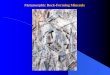 Metamorphic Rock -Forming Mineralsfaculty.uml.edu/Nelson_Eby/89.308/Instructor Pdfs... · Metamorphic Rock -Forming Minerals . Garnet – pyralspite group • Pyrobe – Mg 3 Al 2