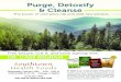 Purge, Detoxify & Cleanse · disease, arthritis, lyme, fungus, digestive disorders, psoriasis, parasites and more, all with natural cures. The power of wild spice oils and wild, raw
