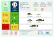 benefits to children COYOTE LAKE - California · A Guide to Eating Fish from Coyote Lake \(Santa Clara County\) Keywords: eating fish, Coyote Lake, mercury, Santa Clara County Created
