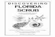 D I S C O V E R I N G FLORIDA SCRUB · 2014-02-03 · D I S C O V E R I N G FLORIDA SCRUB a guide to exploring science in a native ecosystem environmental education activities for