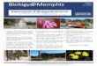 iology@Memphis · tools and methods for understanding a range of complex biological problems such as the interac- tion between genes and environment, molecular evolution, mechanisms