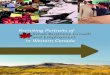 Revisiting Portraits Small Business Growth and Employment ... · Revisiting Portraits of Small Business Growth and Employment in Western Canada 11. A more detailed analysis of these