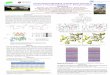 Computational Modeling of Sulfurylase Activity of Human 3 ... · Introduction The sulfur nucleotide PAPS (3’-phosphoadenosine 5’-phosphosulfate) is the universal sulfuryl donor